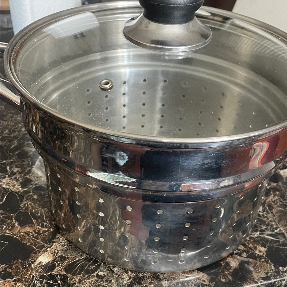 Stainless Steel Stock Pot with Steamer Insert